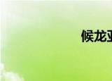 候龙亚（候龙涛）