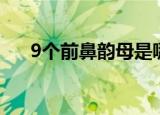 9个前鼻韵母是哪9个（鼻韵母是什么）
