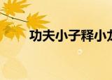 功夫小子释小龙（功夫小子百宝卷）
