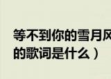 等不到你的雪月风花是什么歌（《后会无期》的歌词是什么）