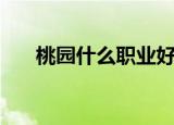 桃园什么职业好（桃园什么职业厉害）