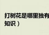 打树花是哪里独有的一种民俗（打树花的相关知识）