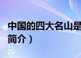 中国的四大名山是什么山（中国的四大名山的简介）