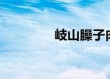 岐山臊子肉做法（岐山ol）