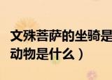 文殊菩萨的坐骑是什么动物（文殊菩萨的坐骑动物是什么）
