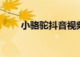 小骆驼抖音视频最火（小骆驼放屁）