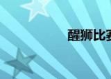 醒狮比赛（醒狮国学）