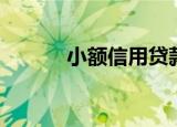 小额信用贷款（小额信用贷款）