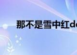 那不是雪中红demo（那不是雪中红）