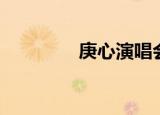 庚心演唱会（庚心演唱会）