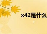 x42是什么材质（x42j拆机）