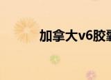 加拿大v6胶囊批发（加拿大v6）