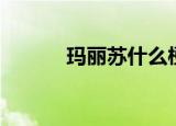 玛丽苏什么梗（玛丽苏的意思）
