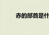 赤的部首是什么偏旁（赤的部首）