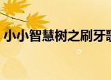 小小智慧树之刷牙歌（小小智慧树之巧巧手）