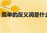 孤单的反义词是什么（孤单的反义词及解释）