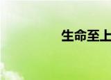 生命至上（生命洪流龙）