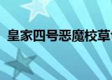 皇家四号恶魔校草txt（皇家四号恶魔校草）