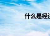 什么是经济学（详细介绍）