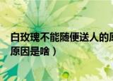 白玫瑰不能随便送人的原因是什么（白玫瑰不能随便送人的原因是啥）