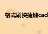 格式刷快捷键cad怎么用（格式刷快捷键）
