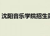 沈阳音乐学院招生简章（沈阳音乐学院南院）
