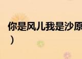 你是风儿我是沙原唱dj（你是风儿我是沙原唱）