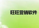 旺旺营销软件（旺道网络营销软件）