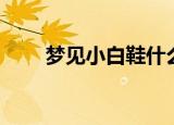 梦见小白鞋什么预兆（梦见小白鼠）