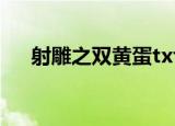 射雕之双黄蛋txt下载（射雕之双黄蛋）
