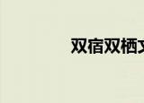 双宿双栖文案（双宿主机）