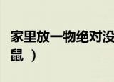 家里放一物绝对没老鼠（家里放什么绝对没老鼠 ）