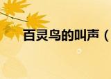 百灵鸟的叫声（百灵鸟叫声怎么形容）