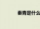 秦青是什么意思（秦青解释）