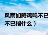 风雨如晦鸡鸣不已是什么意思（风雨如晦鸡鸣不已指什么）