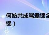 何妨共成鸳鸯锦全集txt下载（何妨共成鸳鸯锦）