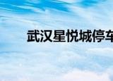 武汉星悦城停车费（午后薰衣茶txt）