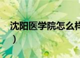沈阳医学院怎么样2019（沈阳医学院怎么样）