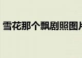 雪花那个飘剧照图片（雪花那个飘剧情介绍）