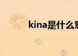 kina是什么意思（kina是什么）