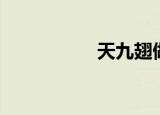 天九翅做法（天九翅）