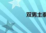 双男主泰剧（双n计划）