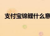 支付宝锦鲤什么意思（什么是支付宝锦鲤）