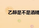 乙醇是不是酒精（乙醇到底是酒精吗）