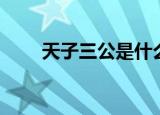 天子三公是什么意思（天子三国版）