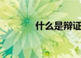 什么是辩证法（辩证法介绍）