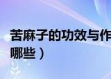 苦麻子的功效与作用（苦麻子的功效与作用有哪些）