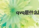 qvq是什么网络语言（qvqd）