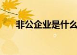 非公企业是什么意思（非公企业解释）