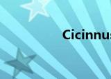 Cicinnuse（cicinnus）